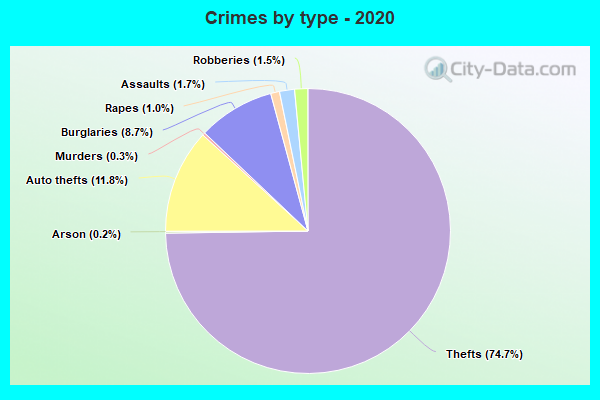 Crimes by type - 2020