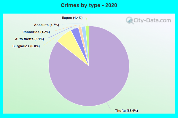 Crimes by type - 2020