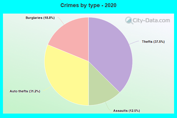 Crimes by type - 2020