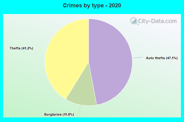 Crimes by type - 2020