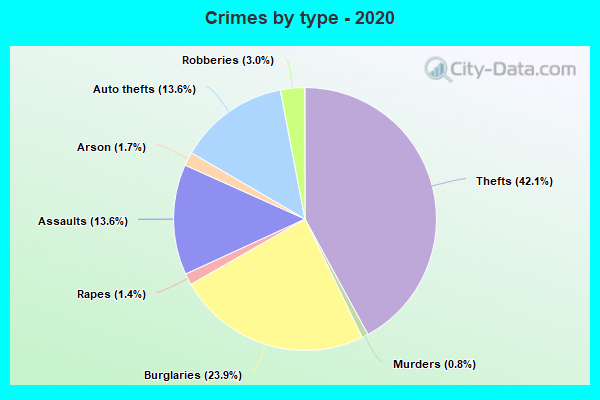 Crimes by type - 2020