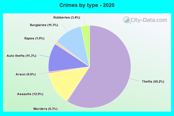 Crimes by type - 2020