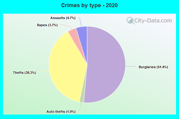 Crimes by type - 2020