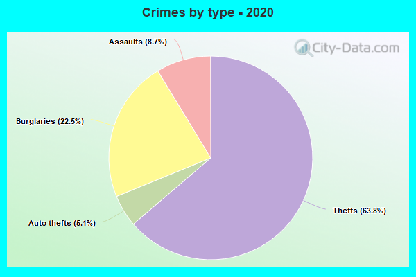 Crimes by type - 2020