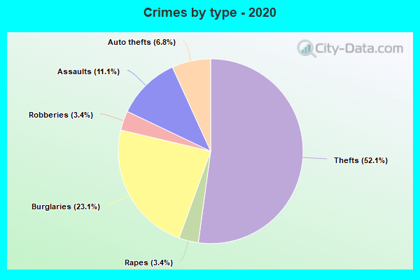 Crimes by type - 2020