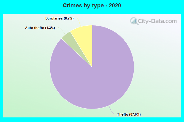 Crimes by type - 2020