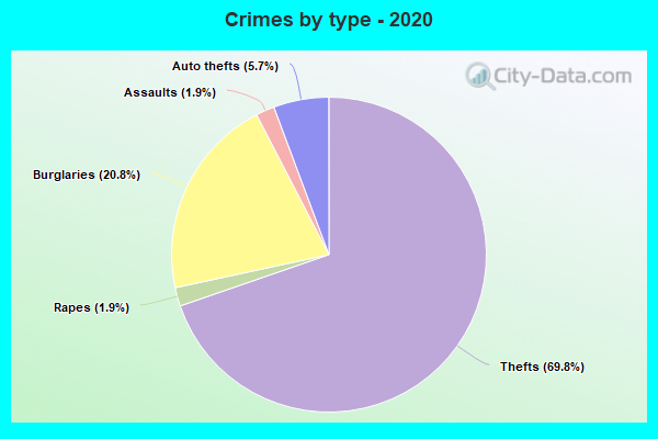 Crimes by type - 2020