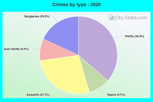 Crimes by type - 2020