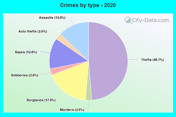 Crimes by type - 2020