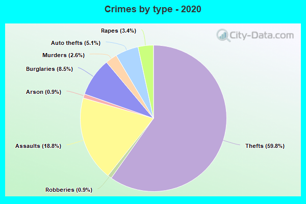 Crimes by type - 2020