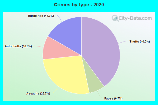 Crimes by type - 2020