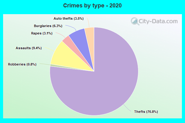 Crimes by type - 2020