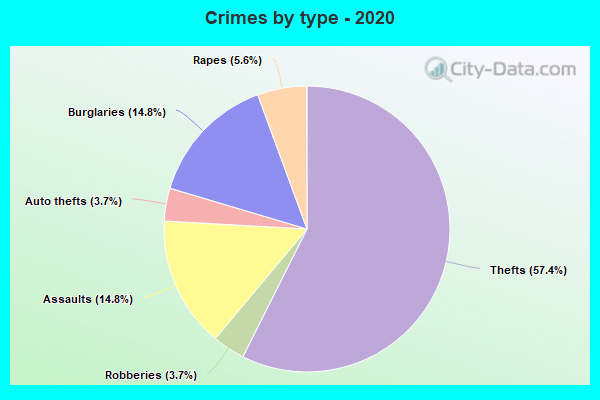 Crimes by type - 2020