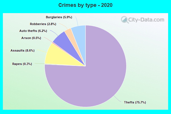 Crimes by type - 2020