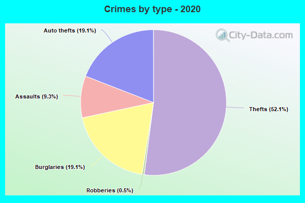 Crimes by type - 2020