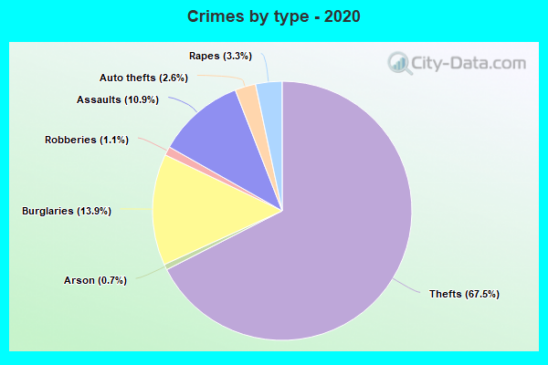 Crimes by type - 2020