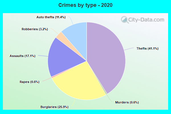 Crimes by type - 2020