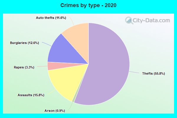 Crimes by type - 2020