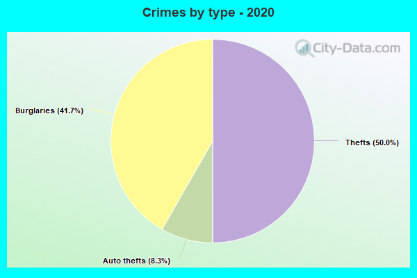 Crimes by type - 2020