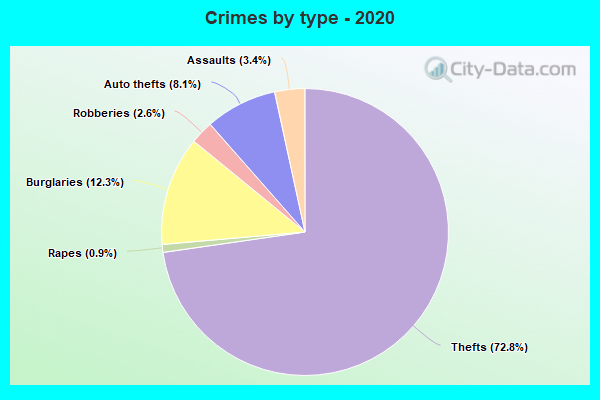 Crimes by type - 2020