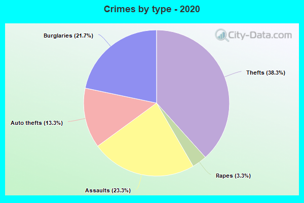 Crimes by type - 2020