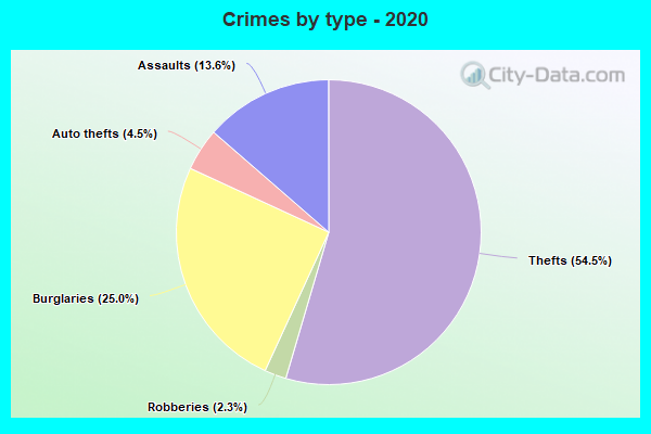 Crimes by type - 2020