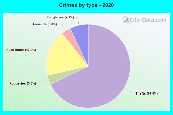 Crimes by type - 2020