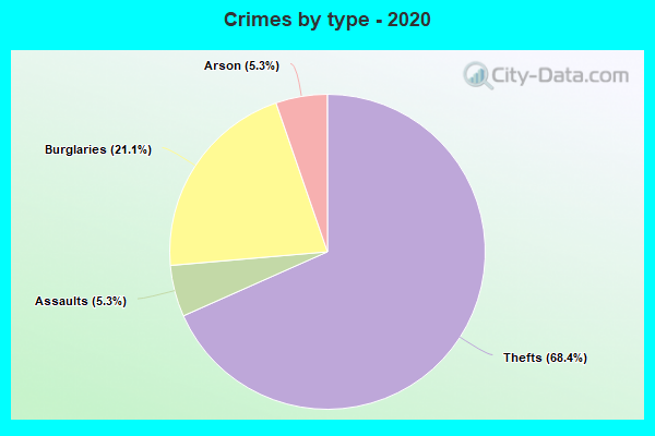 Crimes by type - 2020