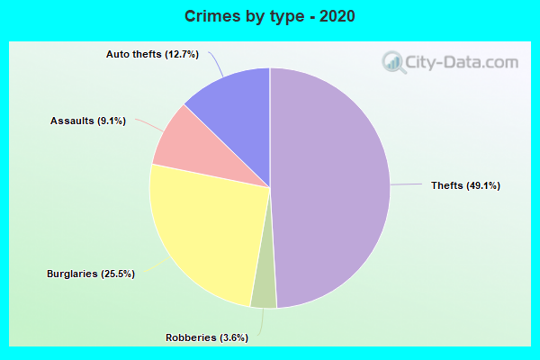 Crimes by type - 2020