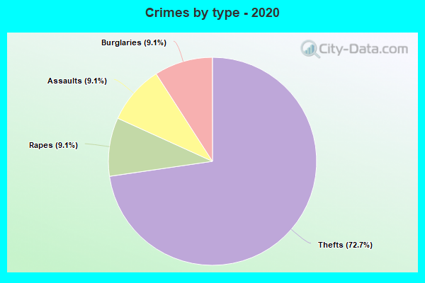 Crimes by type - 2020