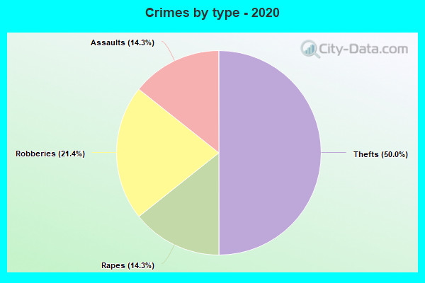 Crimes by type - 2020