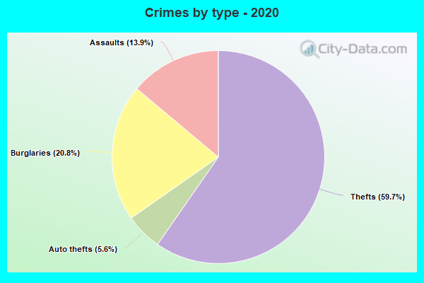 Crimes by type - 2020