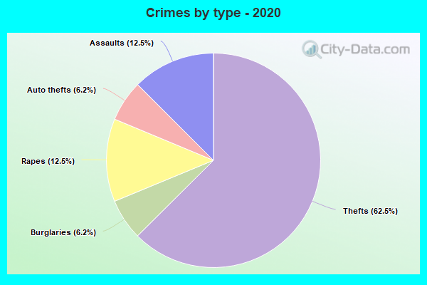 Crimes by type - 2020