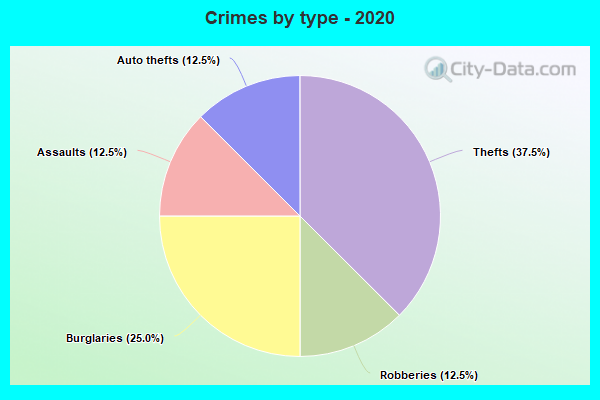 Crimes by type - 2020