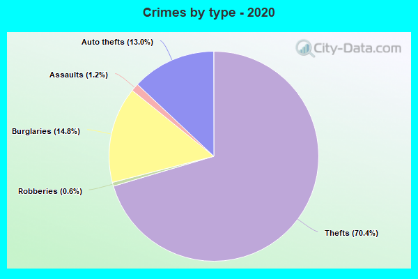 Crimes by type - 2020