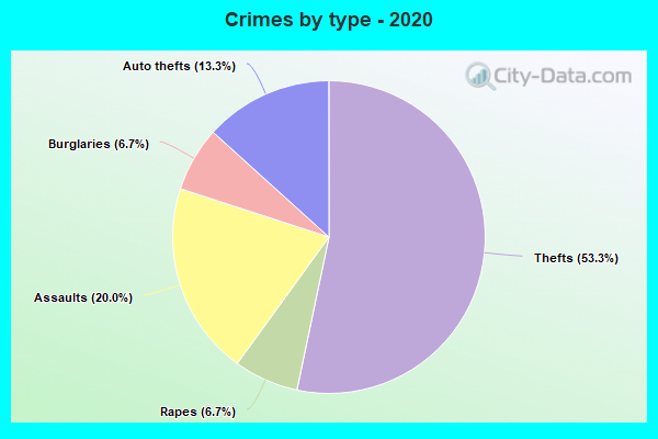 Crimes by type - 2020