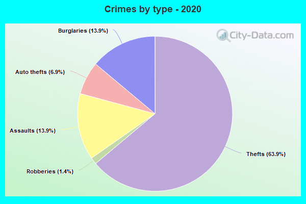 Crimes by type - 2020