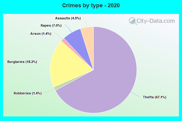 Crimes by type - 2020