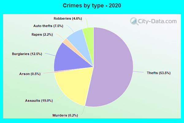 Crimes by type - 2020