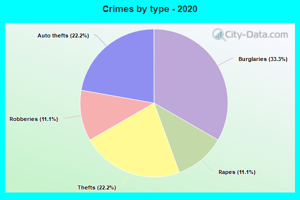 Crimes by type - 2020