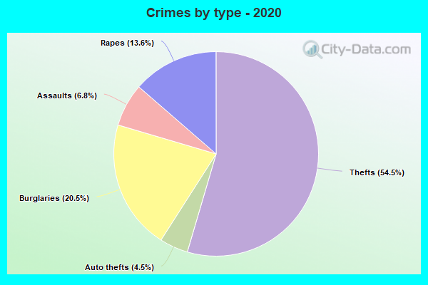 Crimes by type - 2020