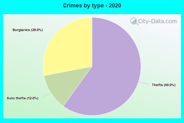 Crimes by type - 2020