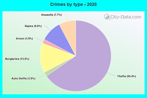 Crimes by type - 2020