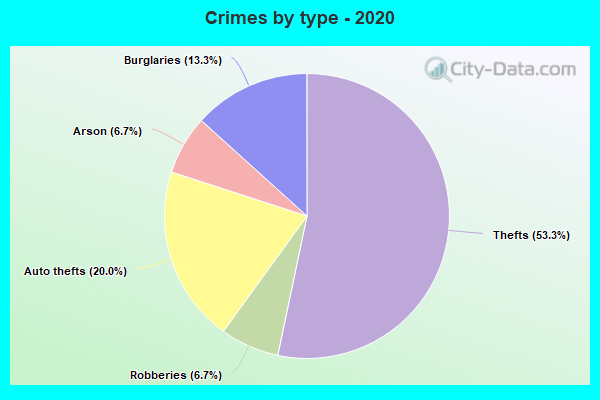 Crimes by type - 2020