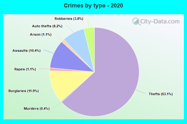 Crimes by type - 2020