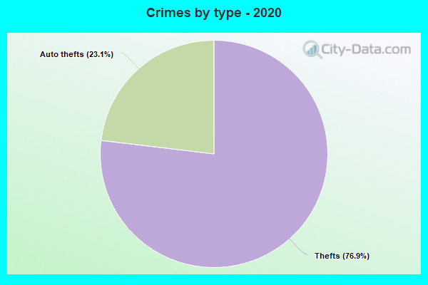 Crimes by type - 2020