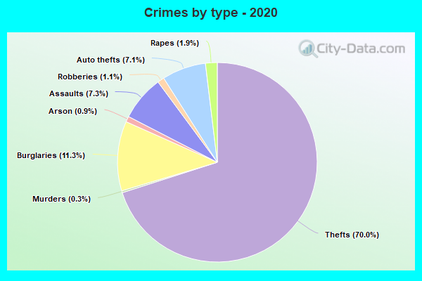 Crimes by type - 2020