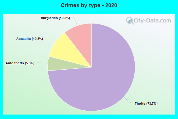 Crimes by type - 2020