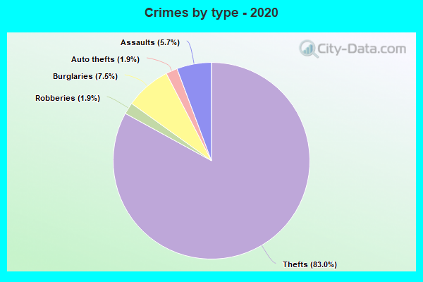 Crimes by type - 2020