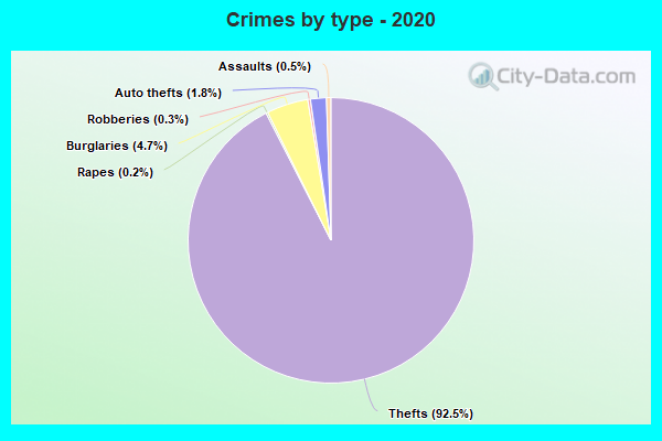 Crimes by type - 2020